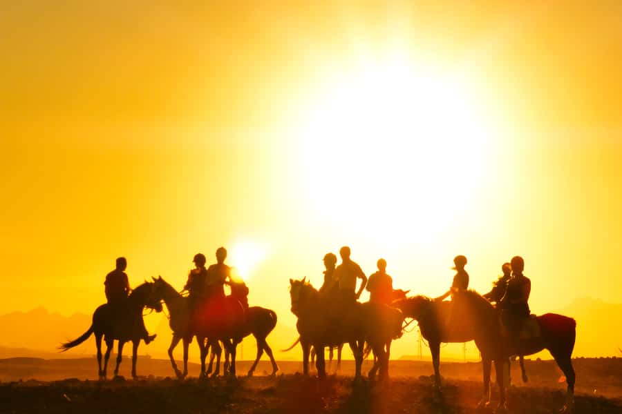 Hurghada: Sea & Desert Horse Tour, Stargazing, Dinner & Show - The VIP four-hour swim with the horse