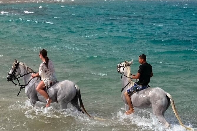 Hurghada: Sea & Desert Horseback Riding, Stargazing, Dinner, Show - Makadi Bay from the Saddle