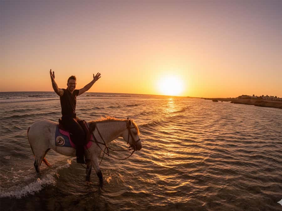 Hurghada: Sunset Sea, Desert Horse W Opt, Dinner, Stargazing - Key points at a glance