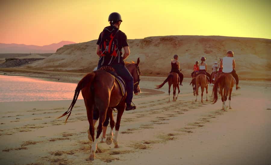 Hurghada: Sunset Sea, Desert Horse W Opt, Dinner, Stargazing - Choosing between sunset, sunrise, swim, and evening options