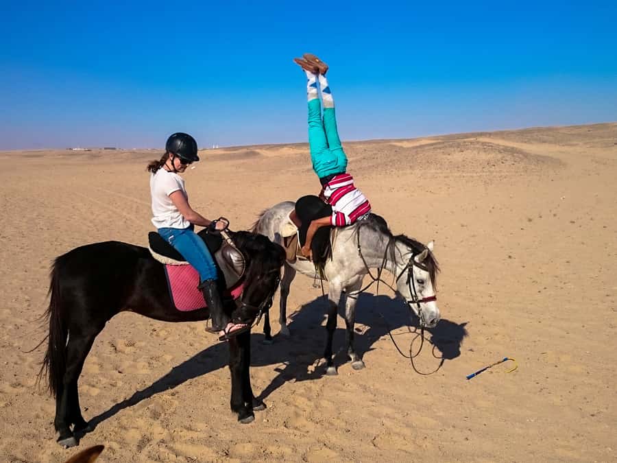 Hurghada: Sunset Sea, Desert Horse W Opt, Dinner, Stargazing - Dinner, dancing, and stargazing after dark