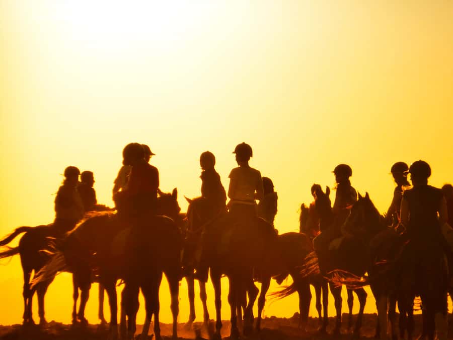 Hurghada: Sunset Sea, Desert Horse W Opt, Dinner, Stargazing - Who should book this ride