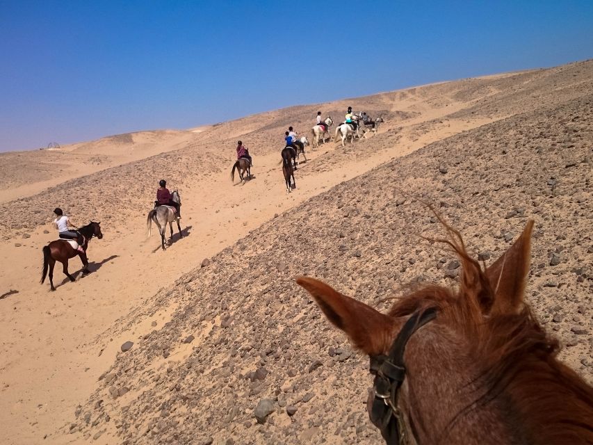 Hurghada: Sunset Sea, Desert Horse W Opt, Dinner, Stargazing - What to wear and bring