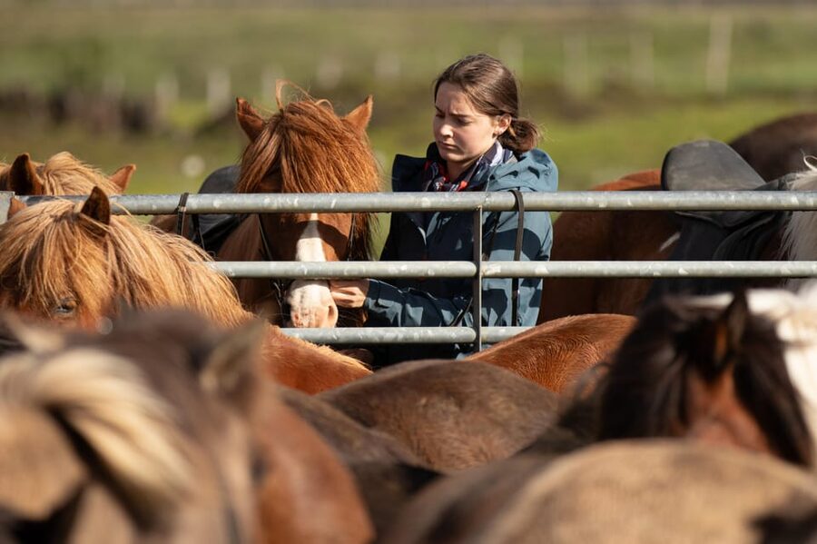 Hveragerdi: Countryside Charm Horse Riding Tour - What makes Icelandic horse riding different