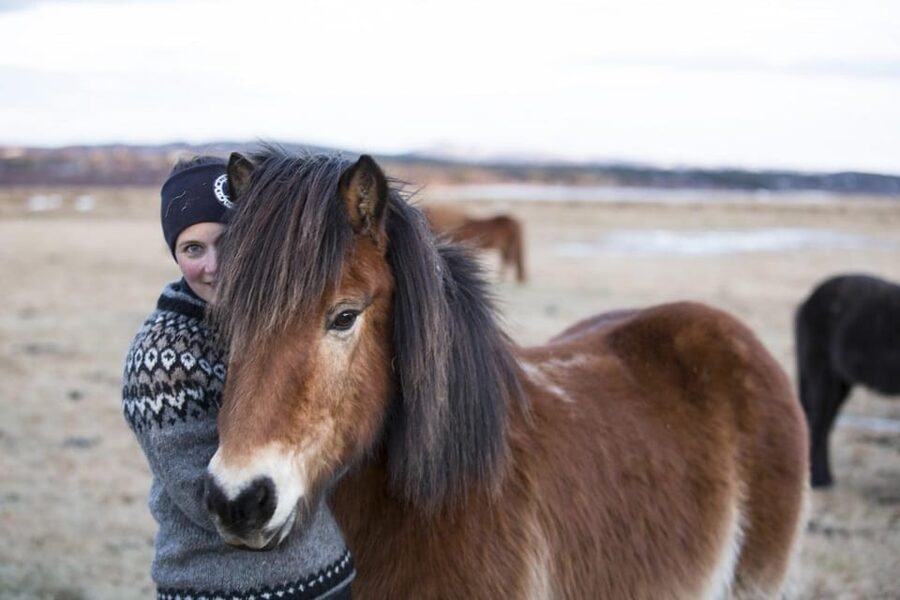 Hveragerdi: Countryside Charm Horse Riding Tour - How the experience fits into a South Iceland day