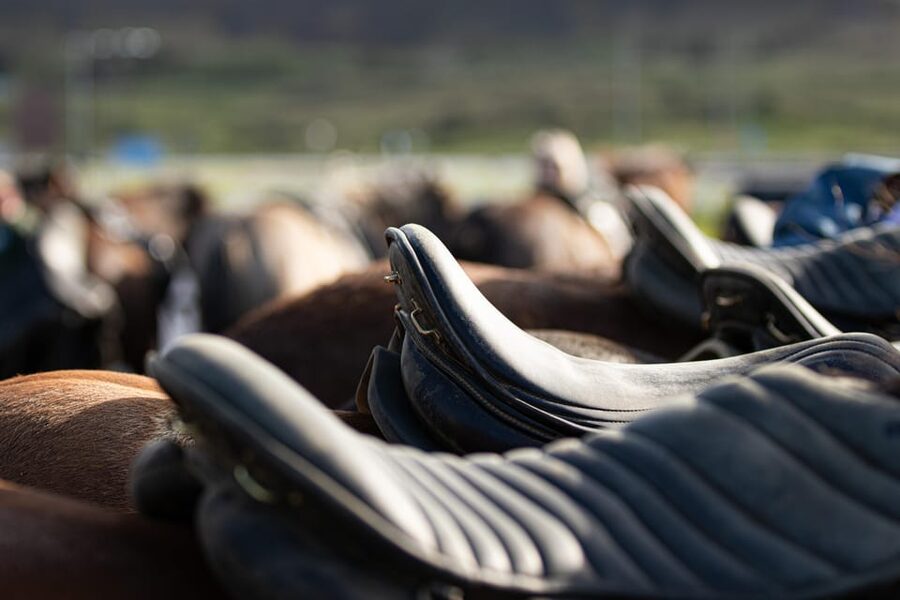 Hveragerdi: Countryside Charm Horse Riding Tour - The one-hour route through Ölfus