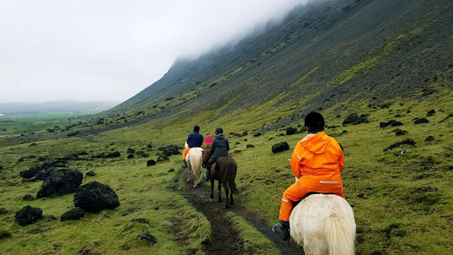 Hveragerdi: Reykjadalur (Hotspring Valley) Horse Riding Tour - Choosing the right horse and learning the basics