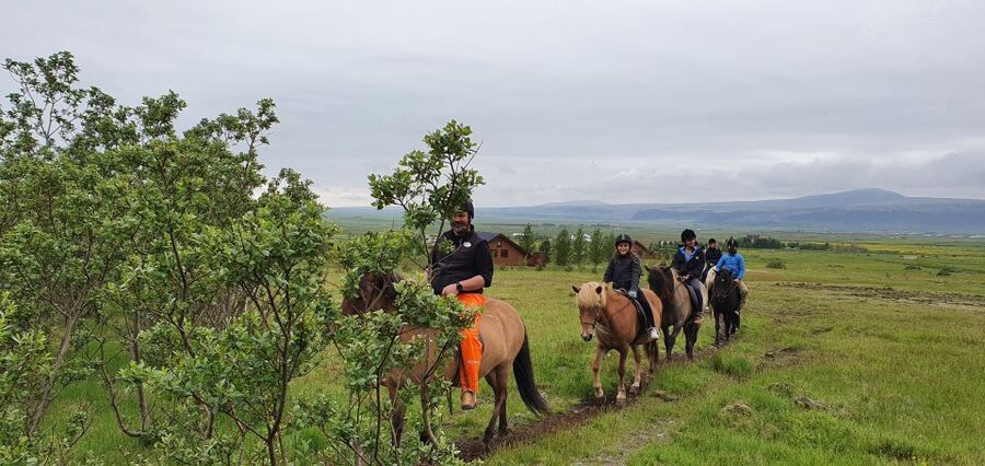 Hveragerdi: Reykjadalur (Hotspring Valley) Horse Riding Tour - Arrival at the stable and the 15-minute check-in