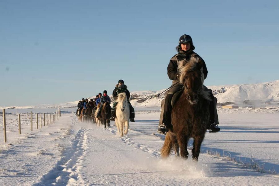 Hveragerdi: The Siggi Horse Riding Tour - How the Group Pace Affects Your Ride