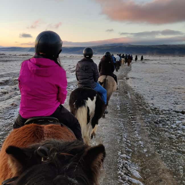 Hveragerdi: The Siggi Horse Riding Tour - Is $136 a Fair Price?