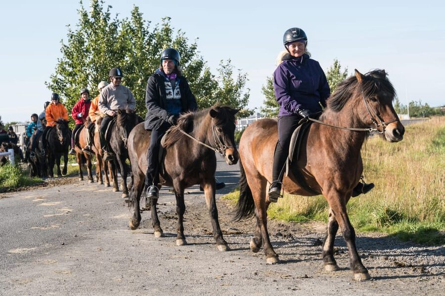 Hveragerdi: The Siggi Horse Riding Tour - Booking Details That Matter