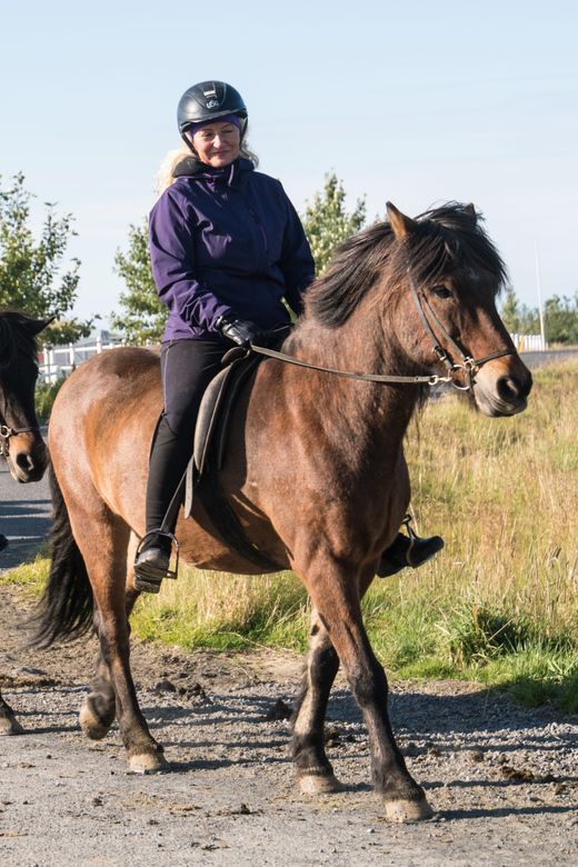 Hveragerdi: The Siggi Horse Riding Tour - My Take: Book It for the Horses and Rural Setting