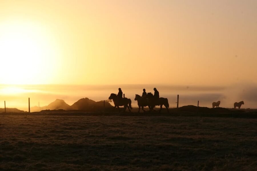 Hveragerdi: The Siggi Horse Riding Tour - From Meadows to Lava Fields