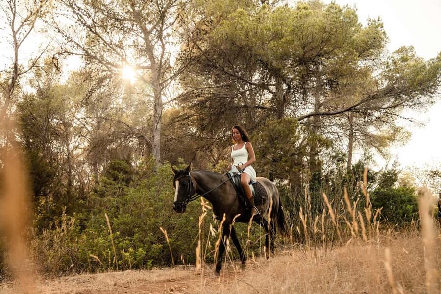 IBIZA: Private Horseback Ride with PICNIC + Hotel Pick-up - Key points at a glance
