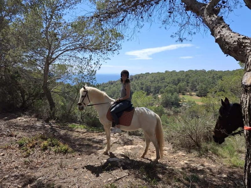 IBIZA: Private Horseback Ride with PICNIC + Hotel Pick-up - One hour through Ibiza’s countryside