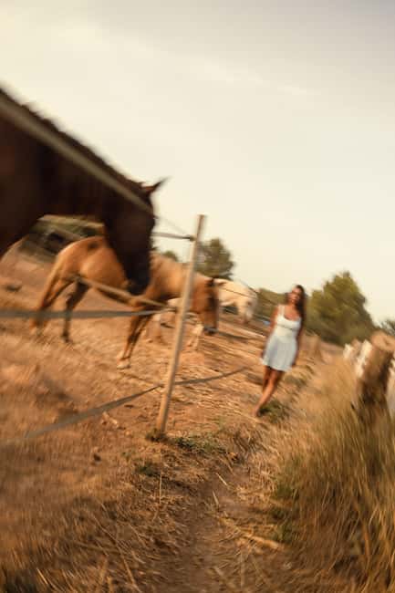 IBIZA: Private Horseback Ride with PICNIC + Hotel Pick-up - The picnic changes the pace