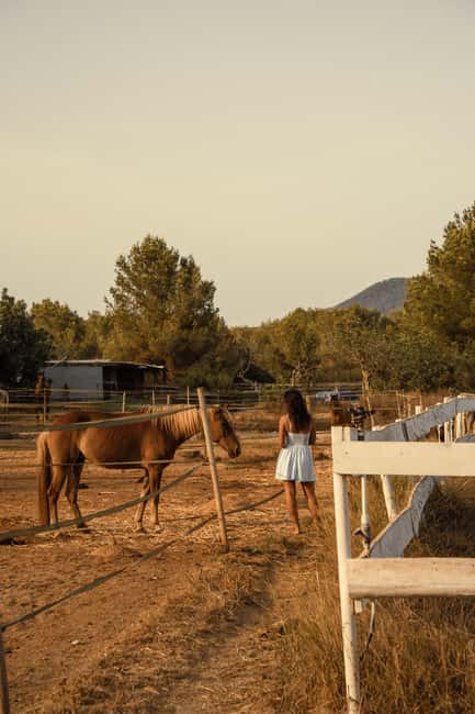 IBIZA: Private Horseback Ride with PICNIC + Hotel Pick-up - Timing, language, and booking flexibility