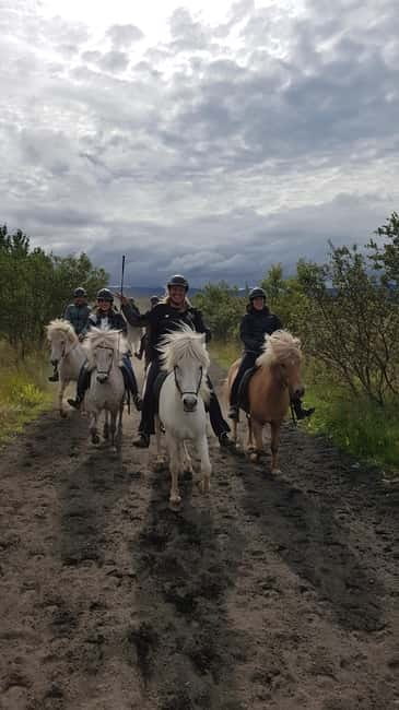 Iceland: Volcanic Landscape Horse Riding Tour - Why Icelandic horses make this ride different