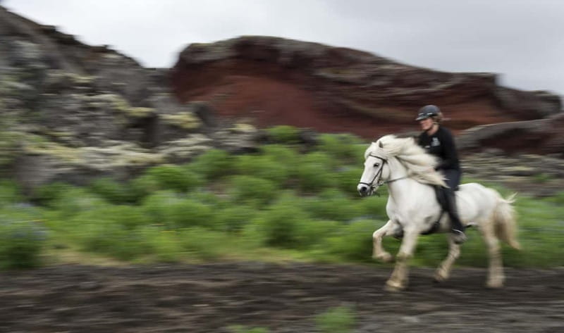 Iceland: Volcanic Landscape Horse Riding Tour - The first riding lesson before the countryside