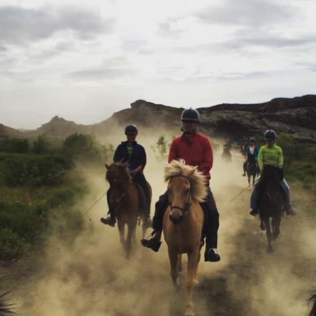 Iceland: Volcanic Landscape Horse Riding Tour - Is $200 a fair price for two hours?