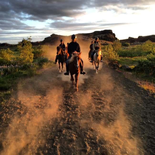 Iceland: Volcanic Landscape Horse Riding Tour - Practical details for a smoother ride