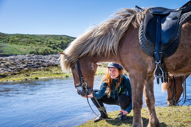 Icelandic Horse Riding and Whale Watching Tour from Reykjavik - Key points to know before booking