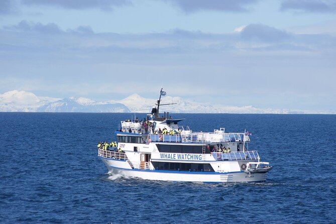 Icelandic Horse Riding and Whale Watching Tour from Reykjavik - Choosing the right pace for your riding ability