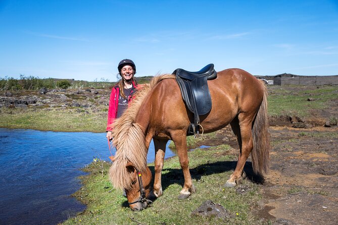 Icelandic Horse Riding and Whale Watching Tour from Reykjavik - Searching for whales in Faxaflói Bay