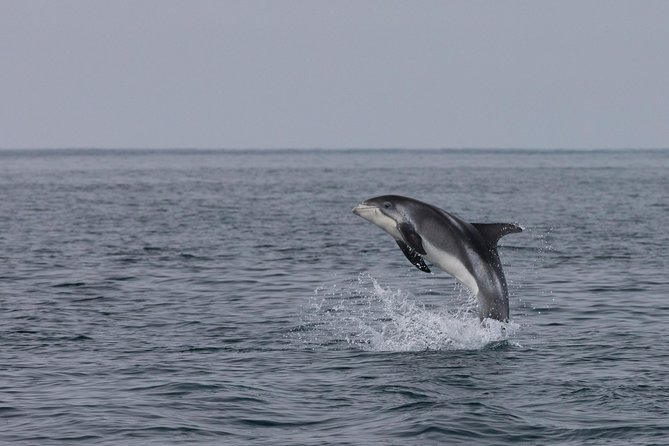 Icelandic Horse Riding and Whale Watching Tour from Reykjavik - What the boat is like in bad weather