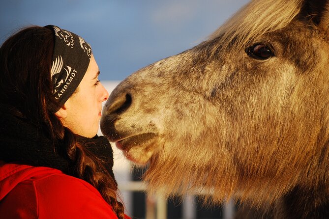 Icelandic Horse Riding and Whale Watching Tour from Reykjavik - Following lava trails near Hafnarfjörður