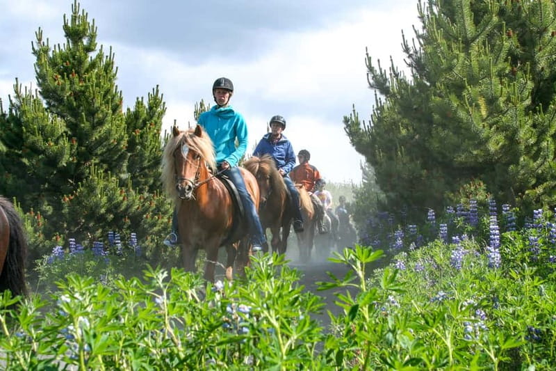 Icelandic Horse Riding Tour & Pickup Option from Reykjavik - The 1.5-hour route through lava and green hills