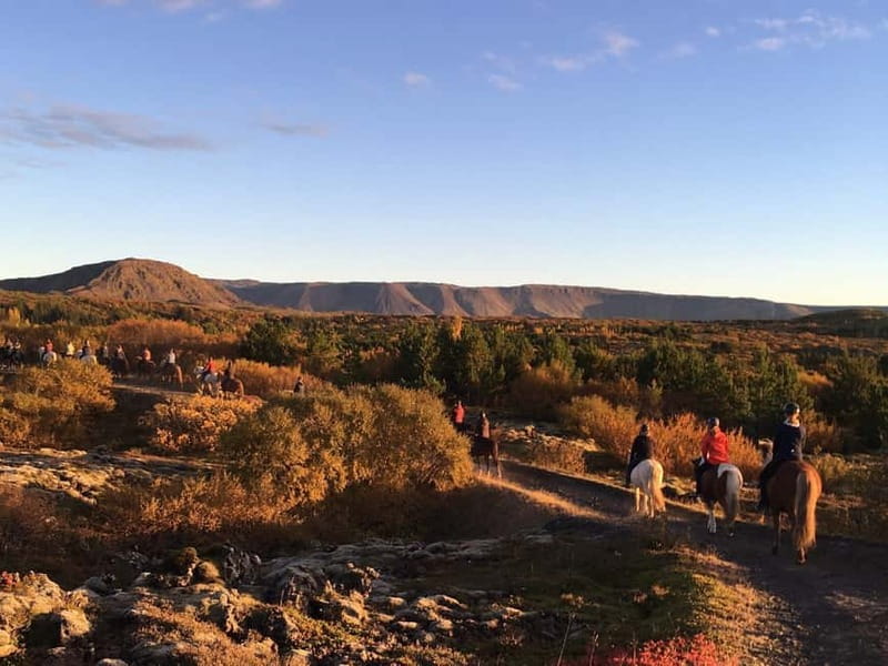 Icelandic Horse Riding Tour & Pickup Option from Reykjavik - What experienced riders get from the tour