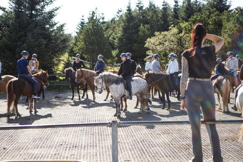 Icelandic Horse Riding Tour & Pickup Option from Reykjavik - Pickup from Reykjavík or self-drive