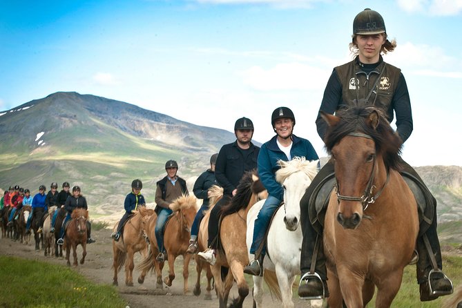 Icelandic Horseback Riding Tour Including Pick Up from Reykjavik - Key points to know before you book