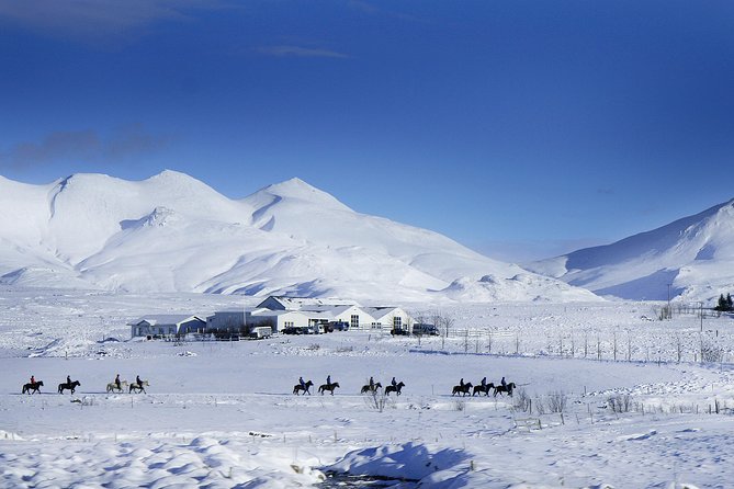 Icelandic Horseback Riding Tour Including Pick Up from Reykjavik - Why the Icelandic horse is worth meeting