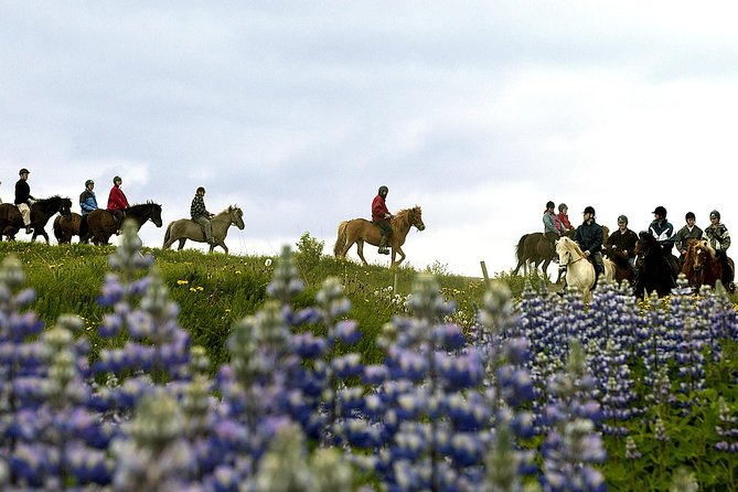Icelandic Horseback Riding Tour Including Pick Up from Reykjavik - Cold-weather planning for a comfortable ride