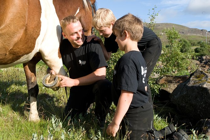 Icelandic Horseback Riding Tour Including Pick Up from Reykjavik - What the $152.37 price includes