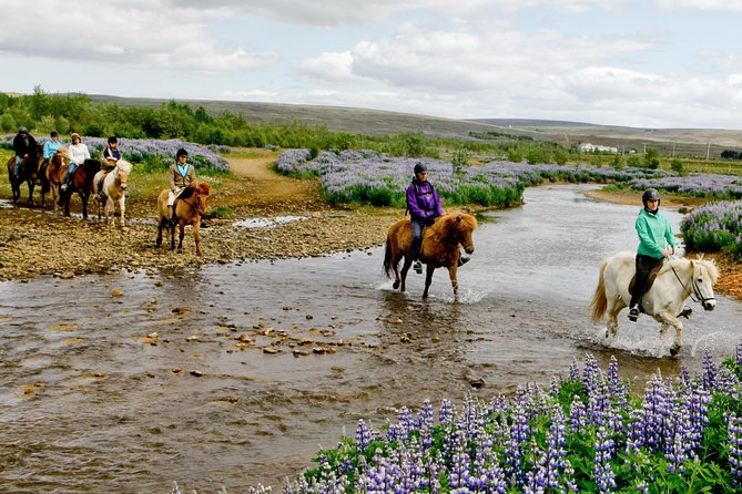 Icelandic Horseback Riding Tour Including Pick Up from Reykjavik - Getting fitted with warm gear and a suitable horse