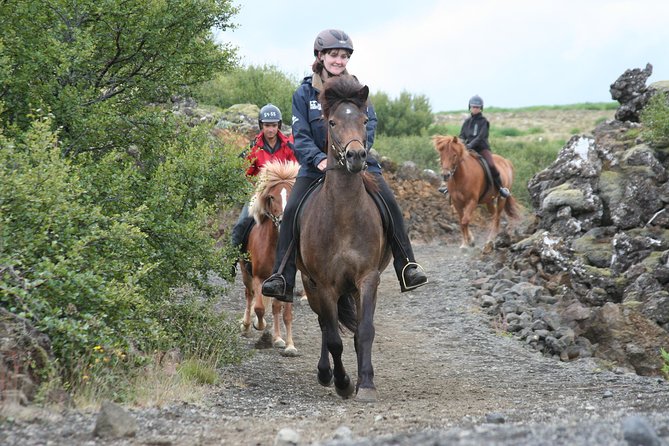 Icelandic Horseback Riding Tour with Pickup Option from Reykjavik - Why Icelandic horses make this ride different