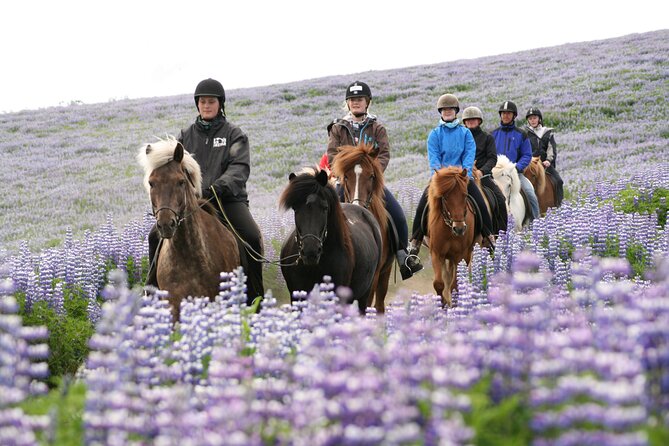 Icelandic Horseback Riding Tour with Pickup Option from Reykjavik - Warm gear makes a real difference