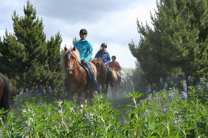Icelandic Horseback Riding Tour with Pickup Option from Reykjavik - Booking, pickup, and cancellation details