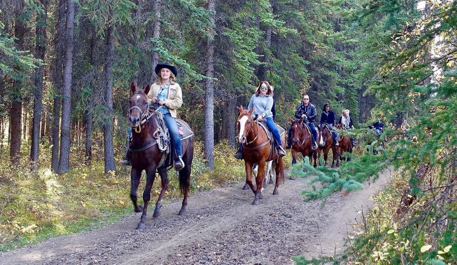 Jackson Hole: Bridger-Teton National Forest Horseback Ride - Your first lesson: reins, stirrups, and control