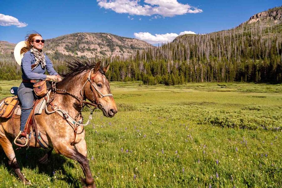 Jackson Hole: Dinner Cookout & Bridger-Teton Horseback Ride - Key points at a glance