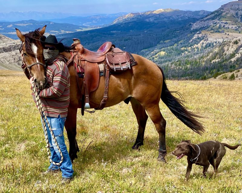 Jackson Hole: Dinner Cookout & Bridger-Teton Horseback Ride - Starting at Heart Six Ranch in Moran