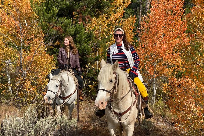 Jackson Hole Horseback Riding in Bridger Teton National Forest - Meeting your horse at Turpin Meadow Ranch
