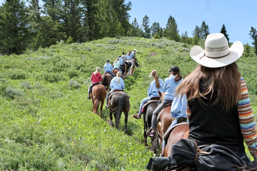 Jackson Hole: Teton View Guided Horseback Ride with Lunch - Starting at Willow Creek Horseback Rides Base Camp