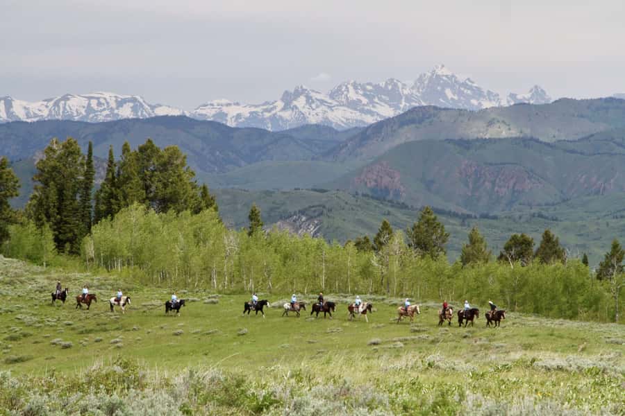 Jackson Hole: Teton View Guided Horseback Ride with Lunch - Climbing toward Ann’s Pond