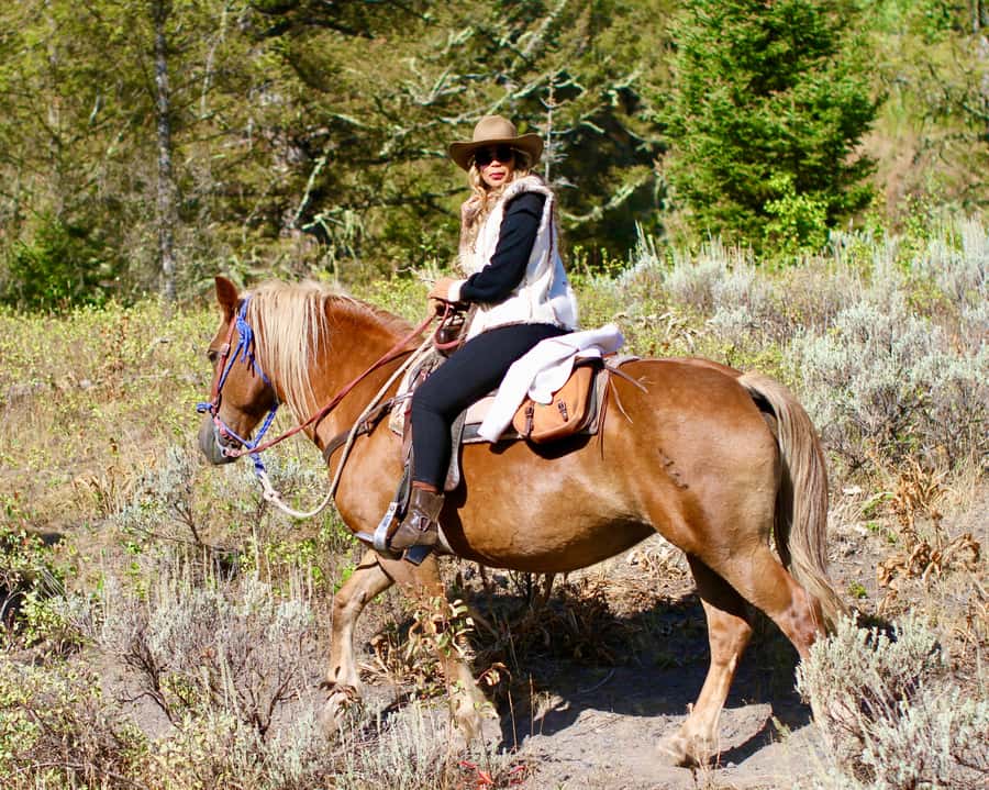 Jackson Hole: Teton View Guided Horseback Ride with Lunch - What the wildlife and scenery are really like