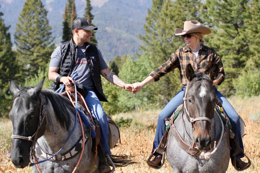 Jackson Hole: Teton View Guided Horseback Ride with Lunch - A closer look at the $495 price