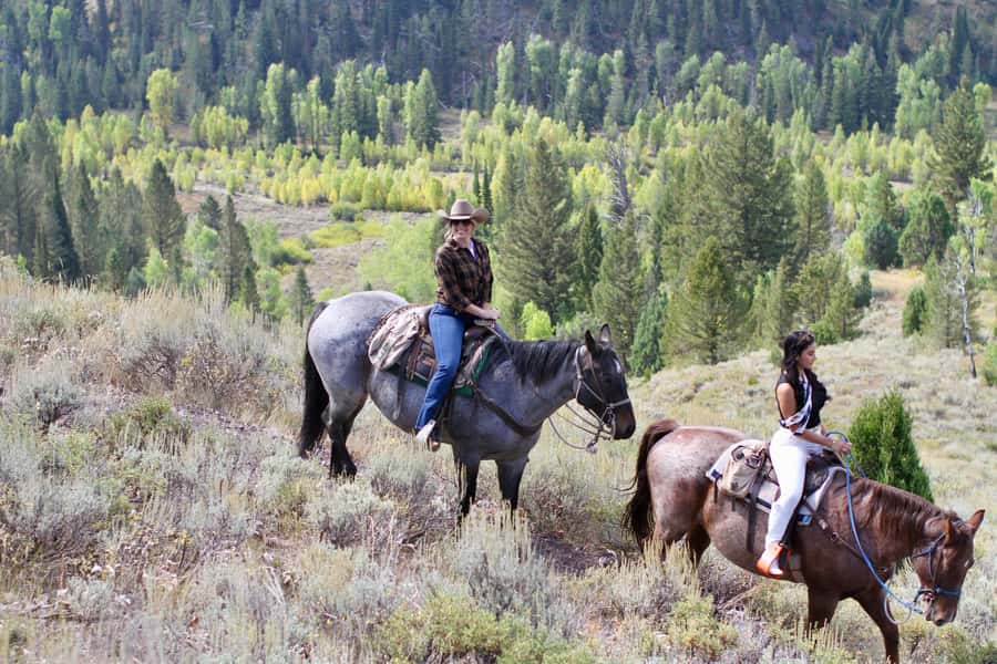 Jackson Hole: Teton View Guided Horseback Ride with Lunch - Who will enjoy this ride most